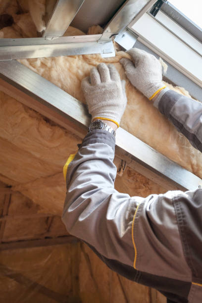 Best Geographic-Specific Insulation Services in Aurora, IN