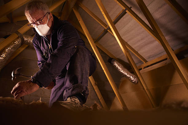 Best DIY Insulation Kits and Guidance in Aurora, IN